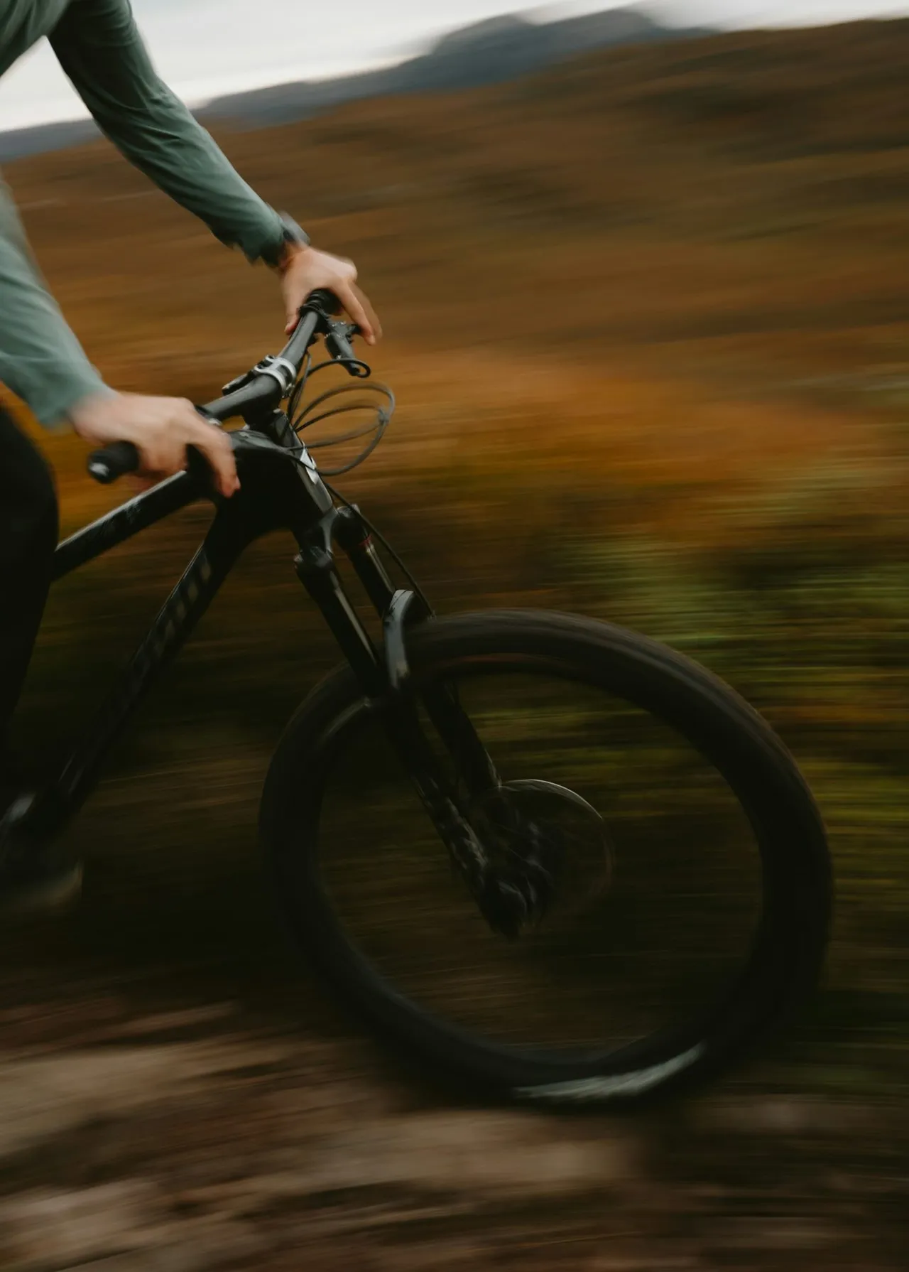 A mountain biker smeared into motion along a forest trail.